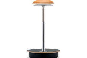 Vorschaubild office chairs 1 1 Belise 7