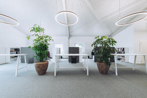 Vorschaubild dsc08924