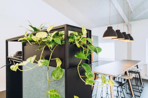 Vorschaubild dsc08941