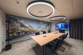 swica elefant referenz akustikbilder basix 15.jpg