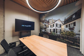 swica elefant referenz akustikbilder basix 3.jpg