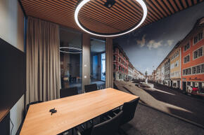 swica elefant referenz akustikbilder basix 4.jpg